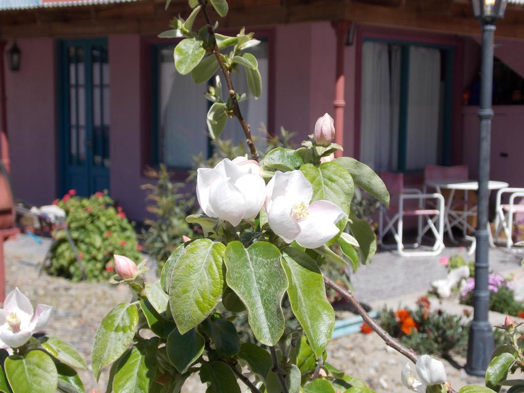 Posada Caracoles Puerto Pirámides Eksteriør bilde