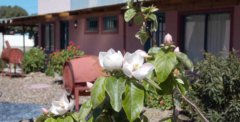 Posada Caracoles Puerto Pirámides Rom bilde